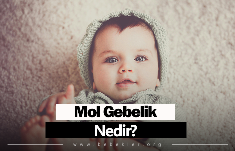 Mol Gebelik Nedir?