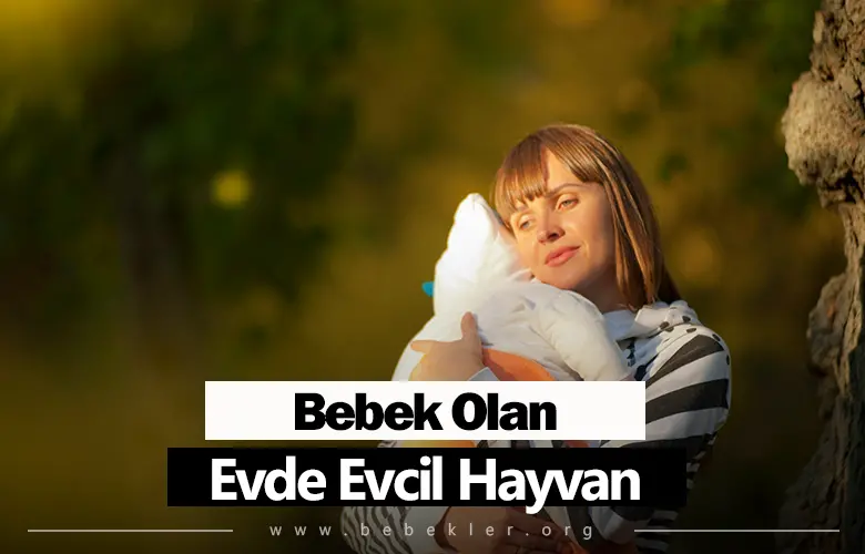 Bebek Olan Evde Evcil Hayvan Olabilir Mi?