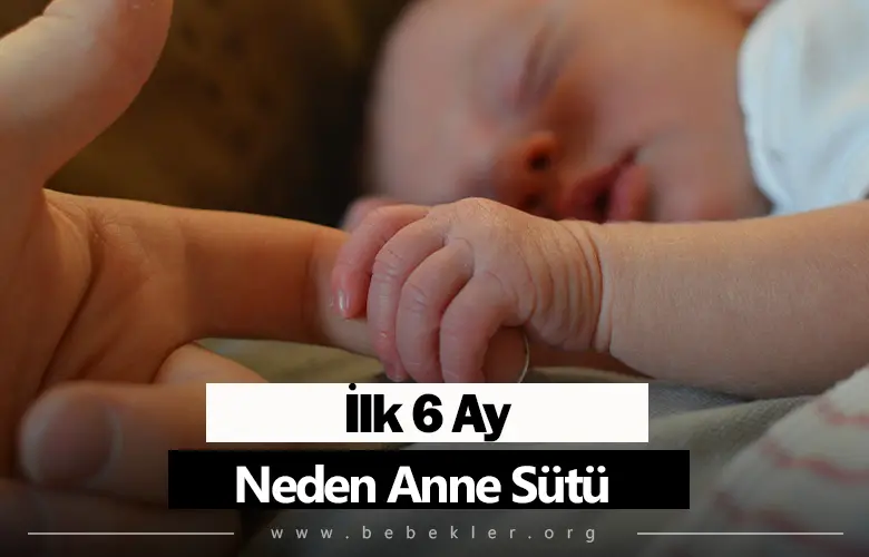 İlk 6 Ay Neden Anne Sutu